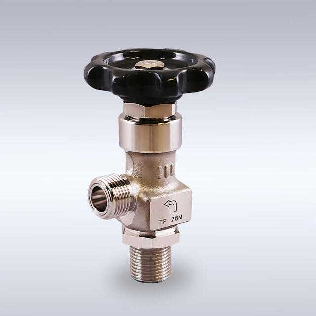 GS-12型 一般高圧ガス配管用 ステンレス製バックシートバルブ（アングル型、4mm）