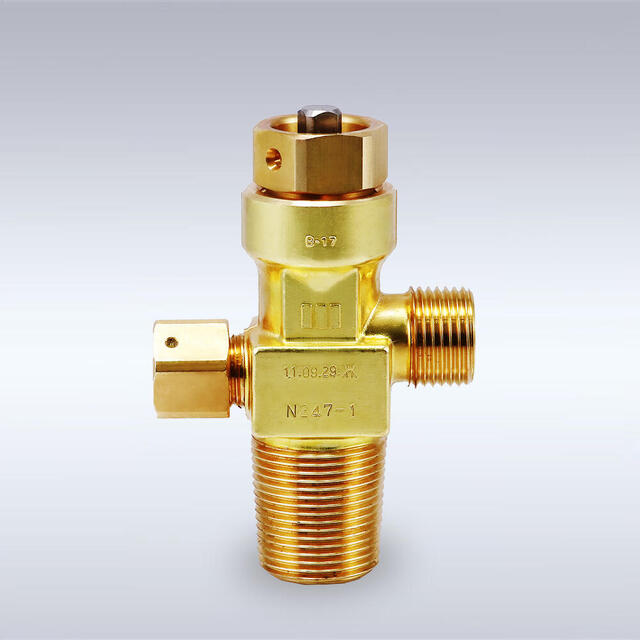 K-40型 中容器用 レンチタイプ 黄銅製バックシートバルブ（W22）