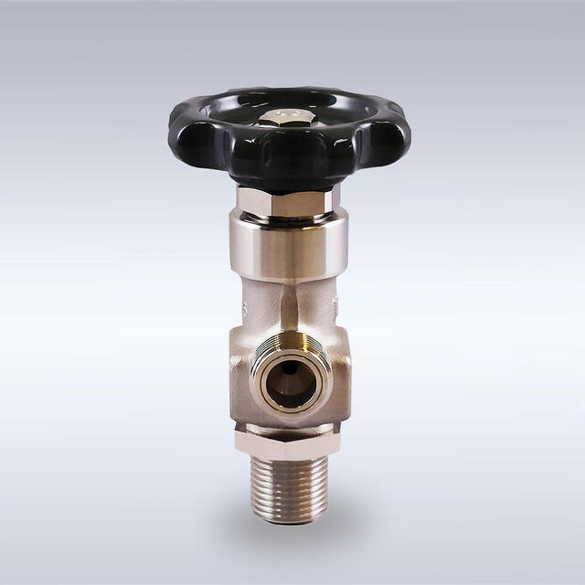 GS-12型 一般高圧ガス配管用 ステンレス製バックシートバルブ（アングル型、4mm）