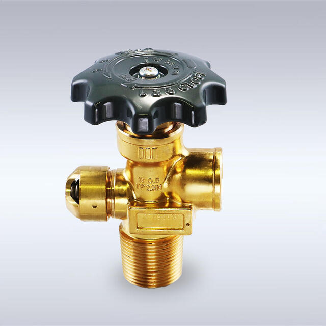 50LW(TP2.9M)-NO.53型 LPガス自動車容器用充てんバルブ