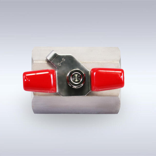 子株付き オアハカ ベアルート株 ボールタイプ_2 オペルクリカア・パキプス ベアルート販売会】 鮮度抜群のパキプス