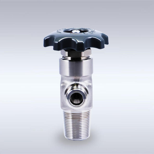 SUS-55L型 ステンレス製ダイヤフラムバルブ