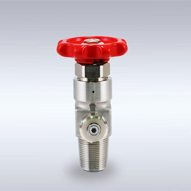 FS-55LN型 ステンレス製ダイヤフラムバルブ