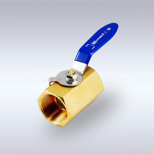 BBS-216/609型 低圧スチーム用 黄銅製ボールバルブ