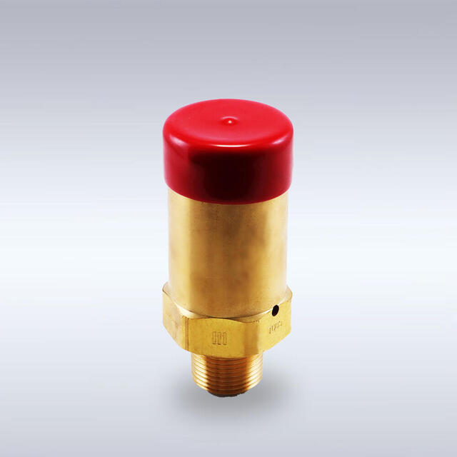 SV-4B-φ19-NO.8型 大容器用安全弁