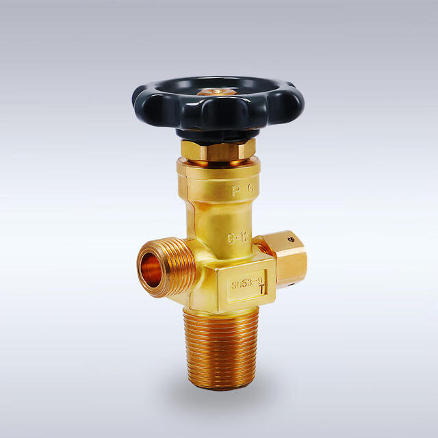 Ｇ-12型 黄銅製バックシートバルブ