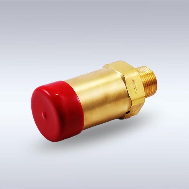 SV-4B-φ19-NO.8型 大容器用安全弁