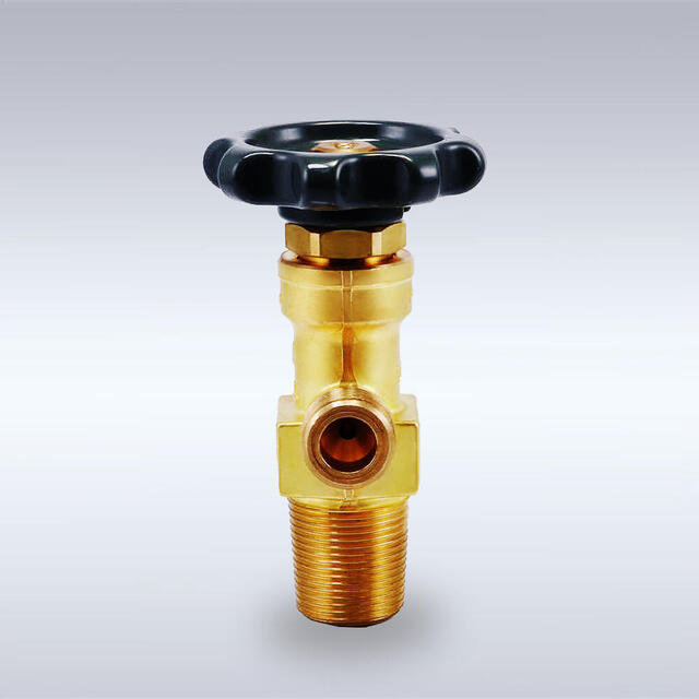Ｇ-12型 黄銅製バックシートバルブ