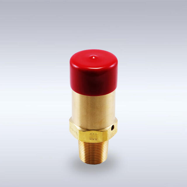 SV-4B-φ14-NO.30型 大容器用安全弁